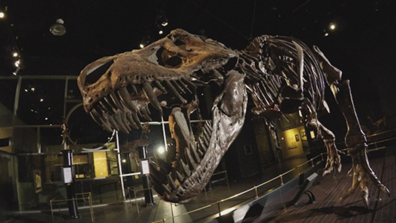 Dinosaur Extinction: Behind the Asteroid Impact Theory