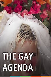 The Gay Agenda