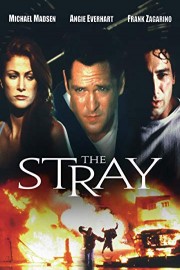 The Stray