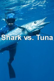 Shark vs. Tuna