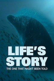 Life's Story