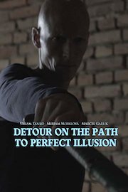 Detour on the Path to Perfect Illusion