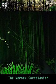 The Vertex Correlation