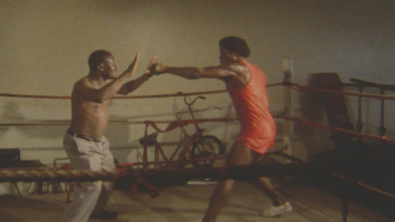The Boxer