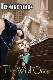 Teenage Years - The Wild Ones - Bad Boys and Girls?
