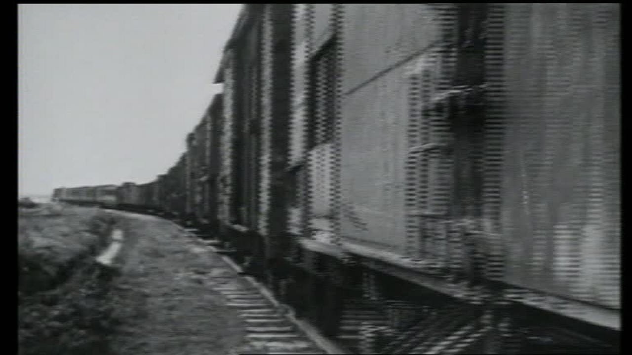 The Last Seven Months of Anne Frank