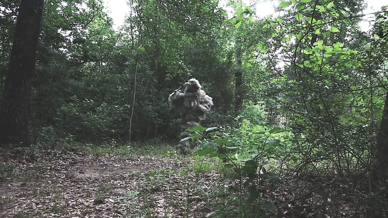 The Mountain Stalker