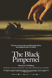 Black Pimpernel