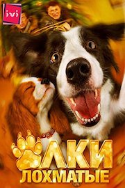 Christmas trees shaggy