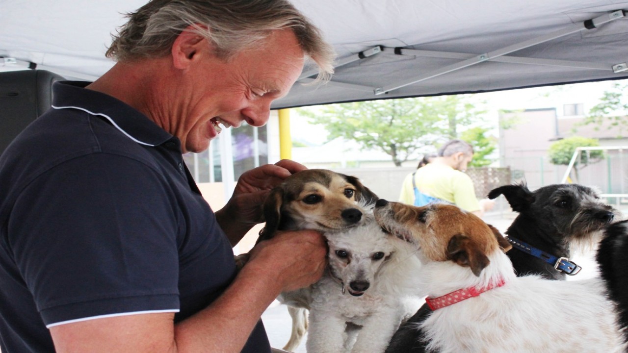 Martin Clunes: A Man and His Dogs