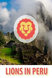 Lions In Peru