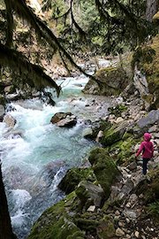 Hiking with Valentine - Stetattle Creek Trail, North Cascades National Park