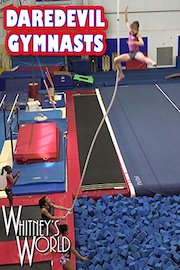 Daredevil Gymnasts