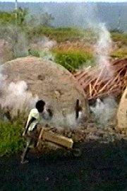 Bahia Charcoal Maker