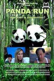 Panda Run