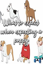 What to expect when expecting a puppy