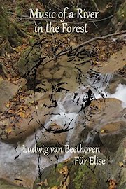 Music of a River in the Forest, Ludwig van Beethoven in Für Elise