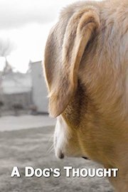 A Dog's Thought