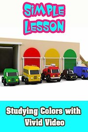 Studying Colors with Vivid Video