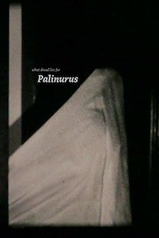 What Dread Lies for Palinurus
