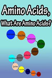 Amino Acids, What Are Amino Acids?