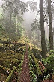 Hiking with Valentine - Sea to Summit Trail