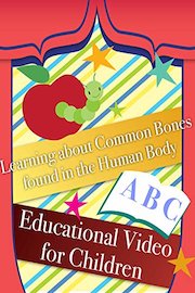 Learning about Common Bones found in the Human Body Educational Video for Children