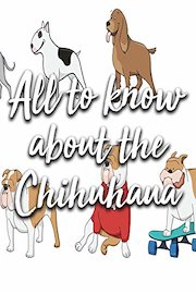 All to know about the Chihuahua