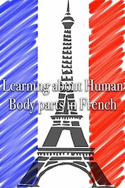 Learning about Human Body parts in French