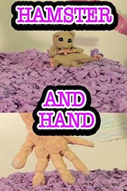 Hamster and Hand