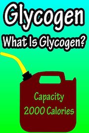 Glycogen, What Is Glycogen?