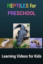 Reptiles for Preschool: Learning Videos for Kids