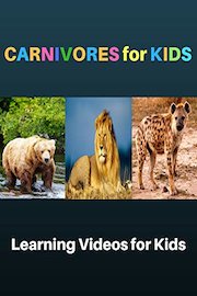 Carnivores for Kids: Learning Videos for Kids