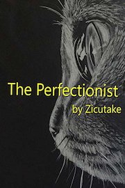 The Perfectionist