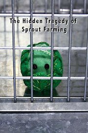 The Hidden Tragedy of Sprout Farming