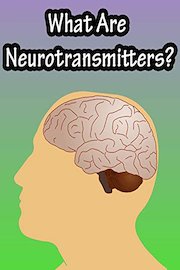 What Are Neurotransmitters?