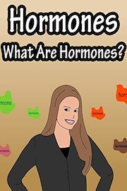 Hormones, What Are Hormones?