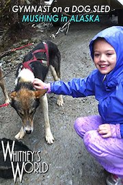 Gymnast on a Dog Sled - Mushing in Alaska