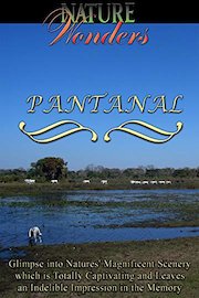Nature Wonders - Pantanal - Brazil