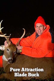 Pure Attraction Blade Buck