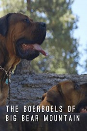 THE BOERBOELS OF BIG BEAR MOUNTAIN