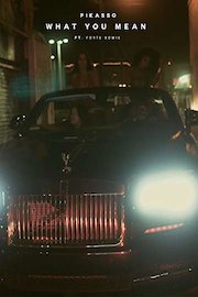 Pikasso What You Mean