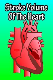 Stroke Volume Of The Heart