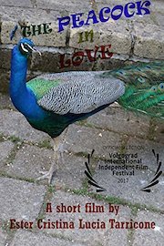 The peacock in love