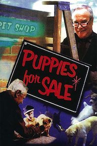 Puppies For Sale