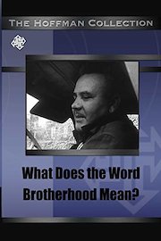 What does the word brotherhood mean
