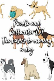 Poodle and Rottweiler 101 The basics to owning a dog