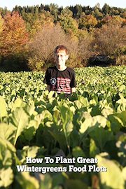 How To Plant Great Wintergreens Food Plots