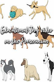 Educational Dog video on the Pomeranian