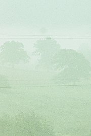 Fog Line